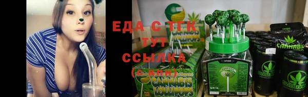 эйфоретик Аркадак