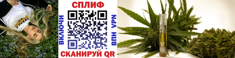 omg онион  Ленинск  Шишки марихуана White Widow  продажа наркотиков 